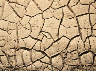 dry