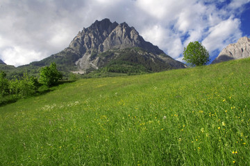 Fototapeta premium valle stura