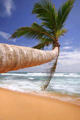 beach