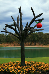 australien_07_0726,01