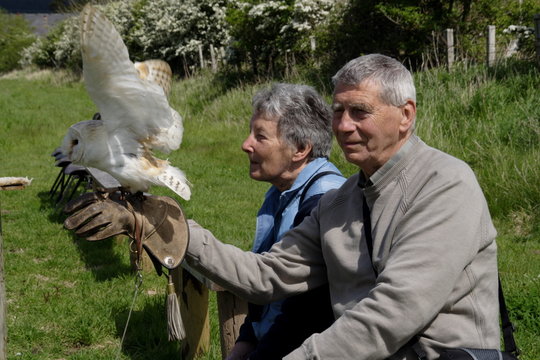 Fenton Bird of Prey Centre stock photo. Image of northumberland - 2529028