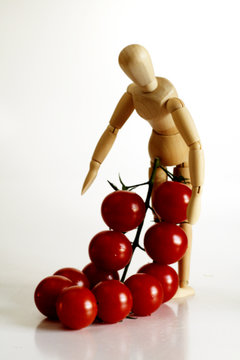 tomatenpfl&uuml;cker