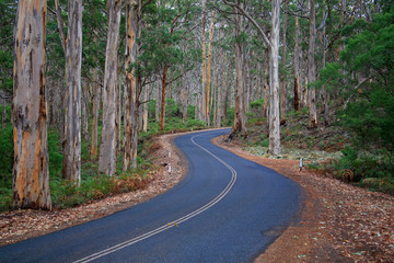 Fototapeta premium australien_07_0803