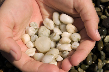 handful of white stones