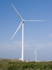 pair of windmills