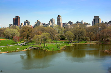 Fototapeta na wymiar ¯ółw błotny, Central Park, Nowy Jork