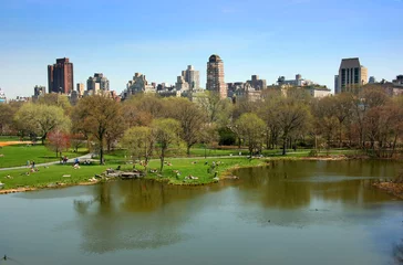 turtle pond, central park, new york