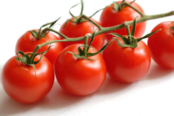 tomato 2