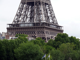tour eiffel: premier étage et arbres verts, paris