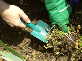 gartenarbeit 03