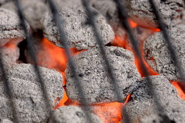 hot barbeque charcoal