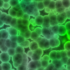bacteria under microscope