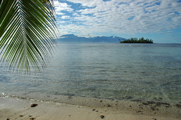 plage sur moorea