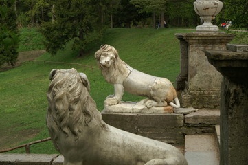 lion sculpture. pavlovsk