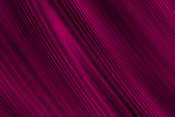 Soft streaked cerise