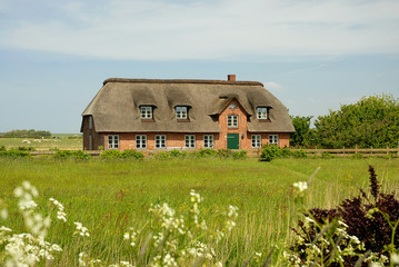 friesenhaus