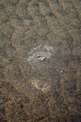 foot print in sand