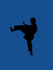 Fototapeta na wymiar karate