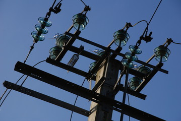 isolateurs sur pylone electrique