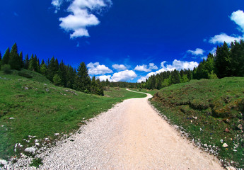 paysage de savoie