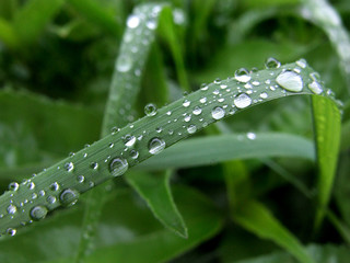 water drops