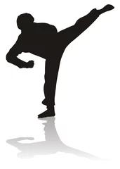 Foto auf Acrylglas Kampfkunst silhouette of martial arts