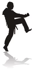 Photo sur Plexiglas Arts martiaux silhouette of martial arts