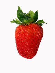 red strawberry