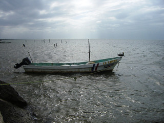 mexique- barque de pecheur et cormoran