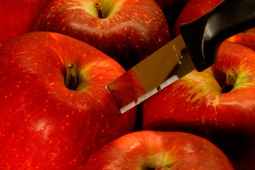 stainless steel and apples