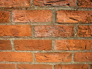 brick wall 2