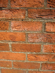 brick wall 3