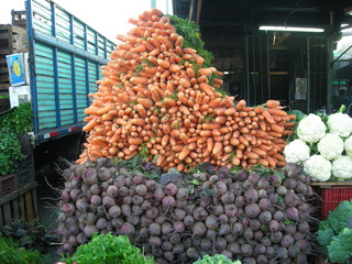 mount carrot