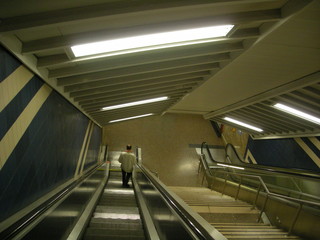 Fototapeta premium a lonely way down