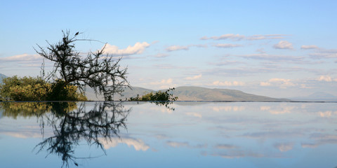 sky reflecting in swimming pool lake manyara tanzania
