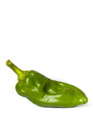 green pepper