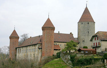 Fototapeta na wymiar château suisse 1