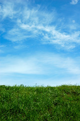 green field and a blue sky with clouds