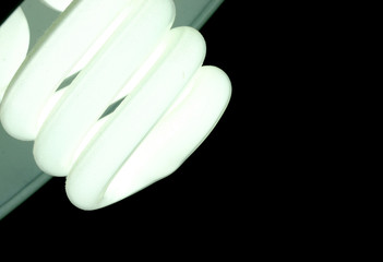 Spiral light bulb on a black background