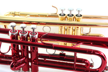 red and gold trumpets © bota horatiu