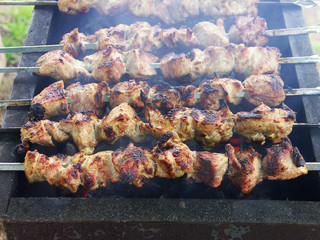 shish kebab on the grill