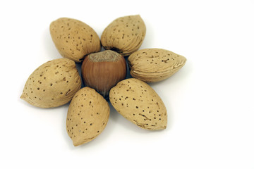 almonds and hazelnut
