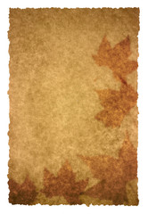 Fototapeta premium autumn page
