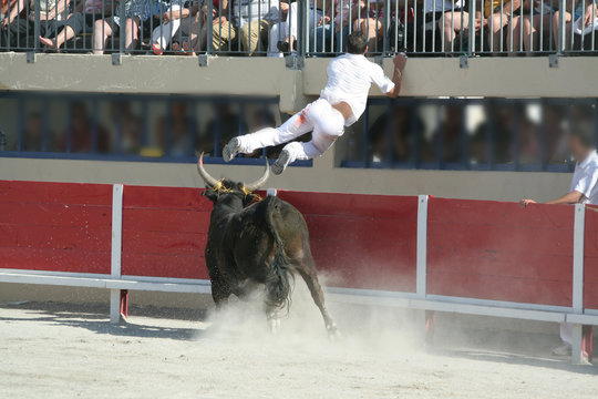 saut a risque