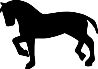 Naklejka premium horse illustration