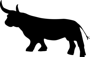 bull illustration