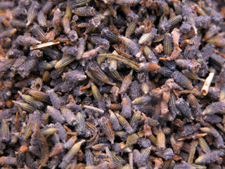 Makro, K&uuml;che, Lebensmittel, Gew&uuml;rze, Schokolade