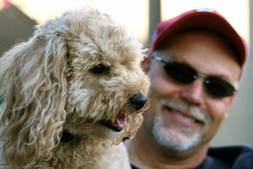 man and poodle