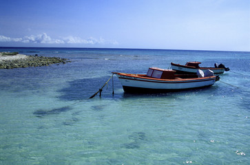 Naklejka na ściany i meble fischerboot nahe baby beach, aruba
