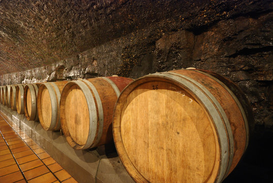 old wooden wine barrels